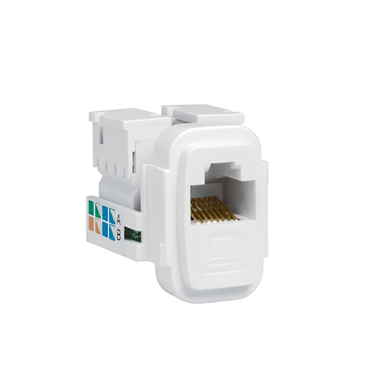 DI645-P RJ45 Data White - CBI Range